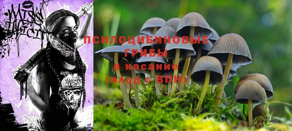 стаф Алексин