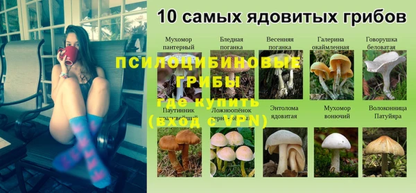 ALPHA-PVP Елизово