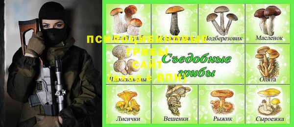 ешки Алексеевка