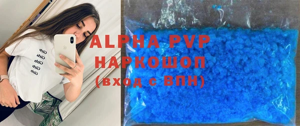 стаф Алексин