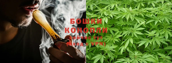 винт Ельня