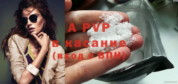 стаф Алексин
