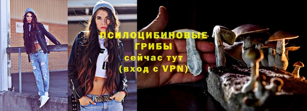 стаф Алексин