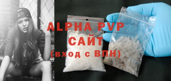 стаф Алексин